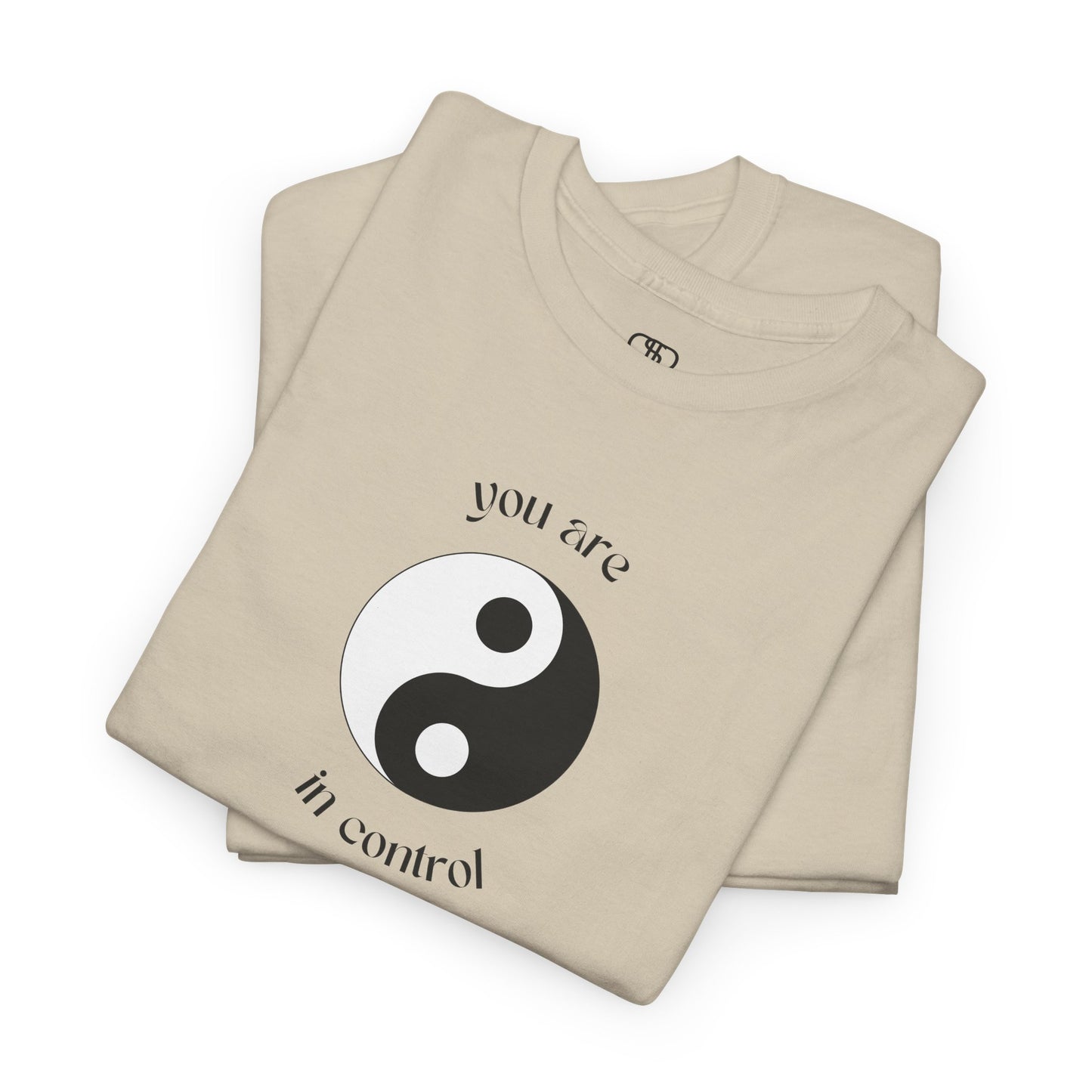 You Are In Control Yin Yang Shirt - Empowering Graphic Tee in Multiple Colors