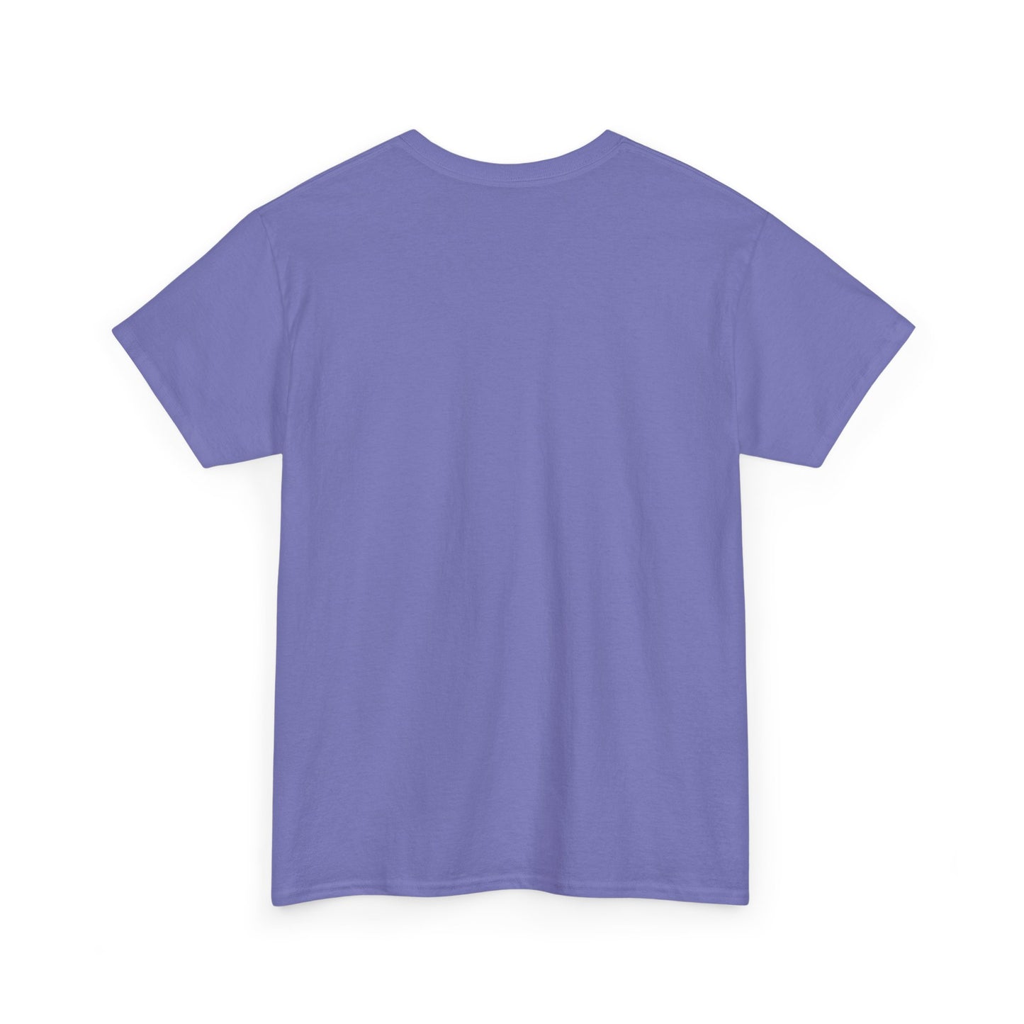 Funny Graphic Tee – I Would Ask But Please Shut Up I’m Tired