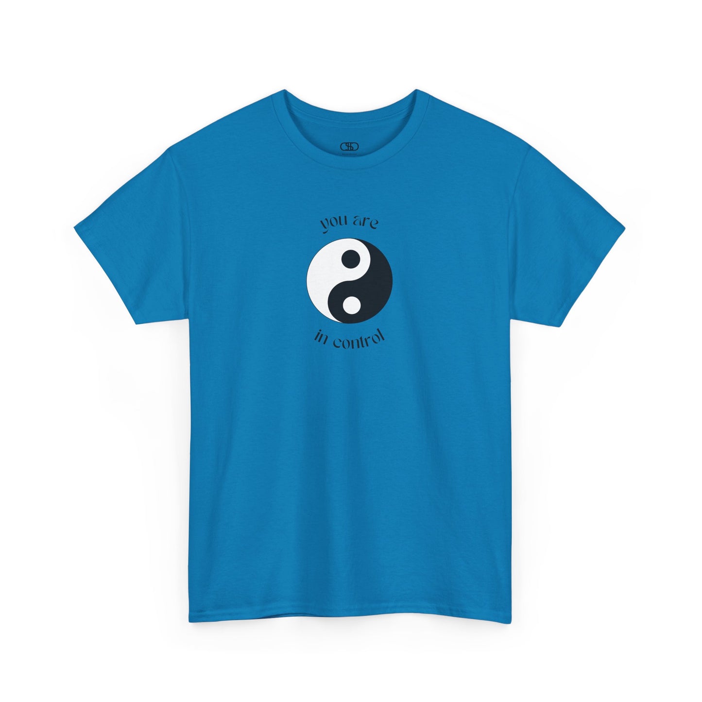 You Are In Control Yin Yang Shirt - Empowering Graphic Tee in Multiple Colors