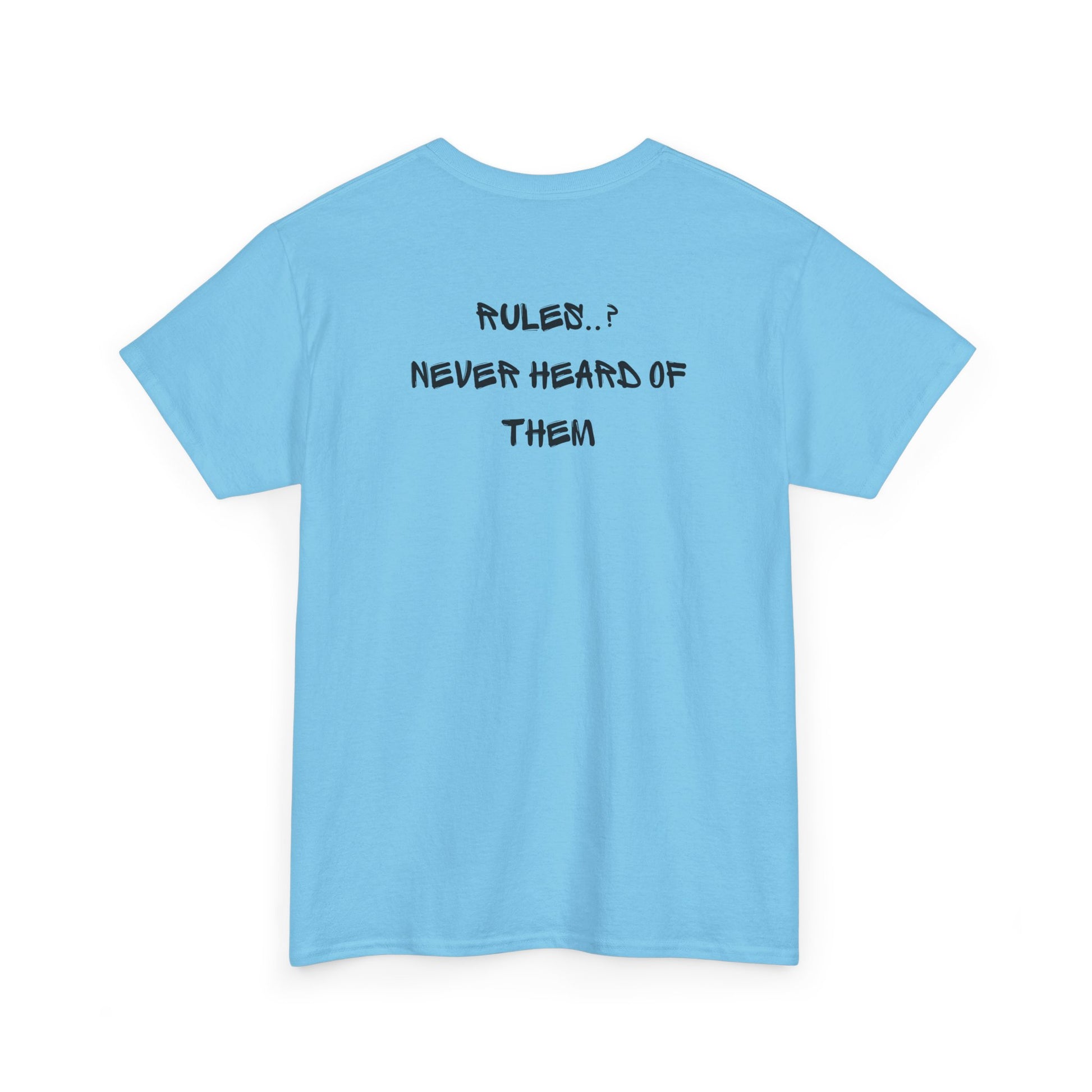 A sky blue t-shirt with small rock hand symbol on front, and "Rules.. Never Heard of Them" graffiti text on the back.